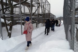 Экскурсия в парк Беремицкое
